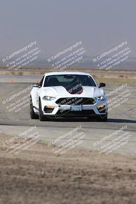 media/Nov-01-2025-PCA Central Coast (Sat) [[5e27ded23e]]/White Group/Grapevine/